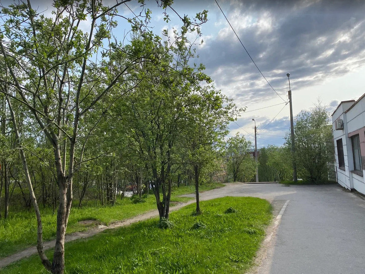 Школьники Мурманской области смогут работать летом