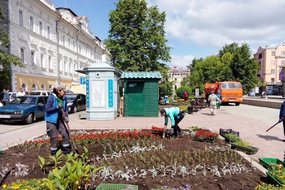 Горзеленхоз Иркутск. Клумба сквер Кирова Иркутск. Площадь труда Иркутск. Клумбы на площади.
