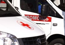 Врачи из Видного опасаются, что не успеют спасти чью-то жизнь из-за вызовов на "укус насекомого"