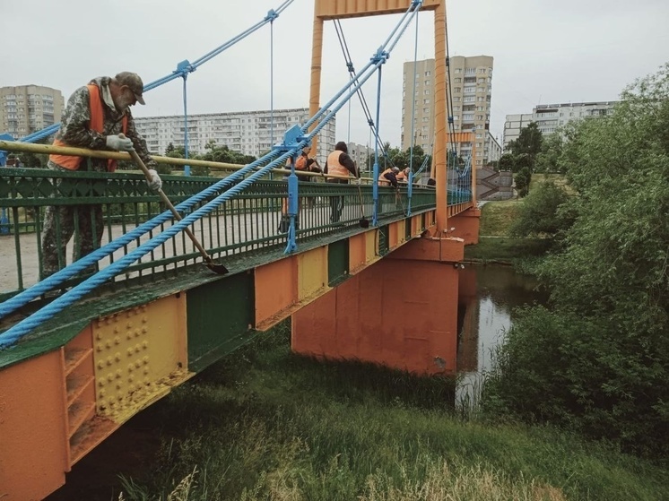 Мосты над Цной в Тамбове перекрасят в другой цвет