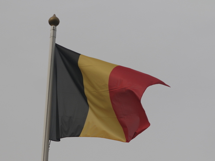 Belga: Украина расследует использование бельгийского оружия при атаках по Белгородской области