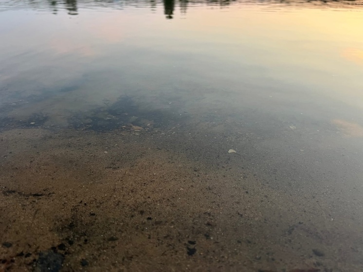 В Тверской области в озере утонул мужчина