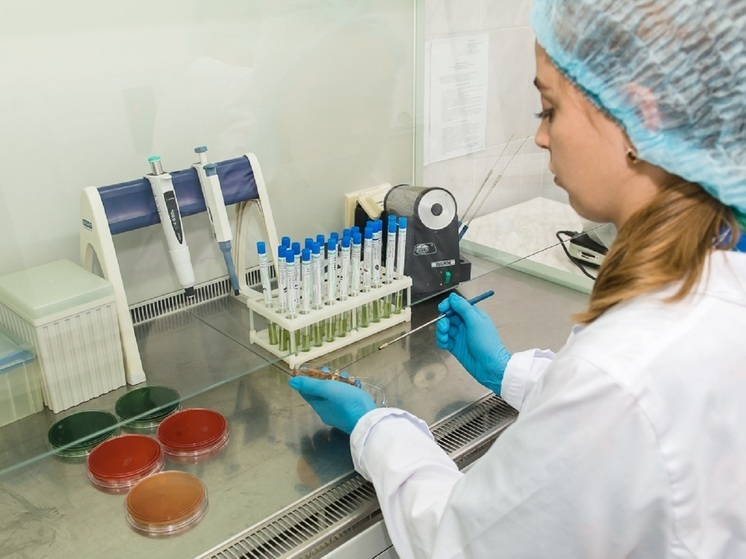 Половина сыров «Российский», представленных крупной сетью, не прошла проверку в Свердловской области