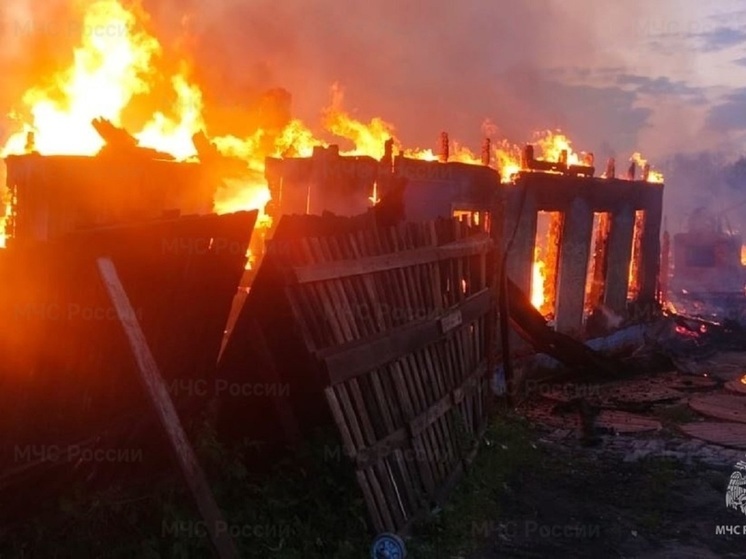 Огонь уничтожил 4 дома, 2 хозпостройки и 2 автомобиля в цыганском поселении под Калугой