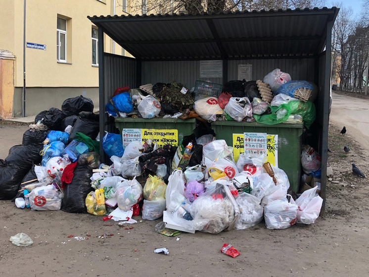 В Кольчугино площадки для мусора нарушают закон
