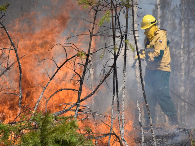 В Марий Эл за один день произошло два лесных пожара