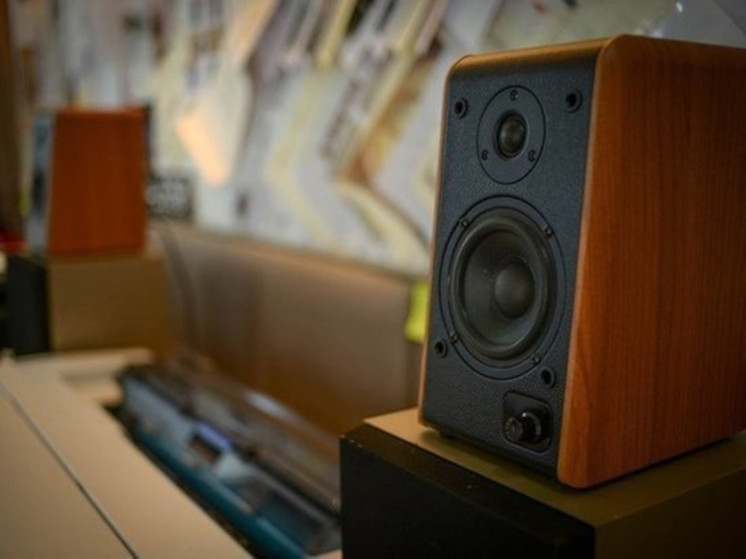 Смех и громкая музыка довели жителя Карелии до суда