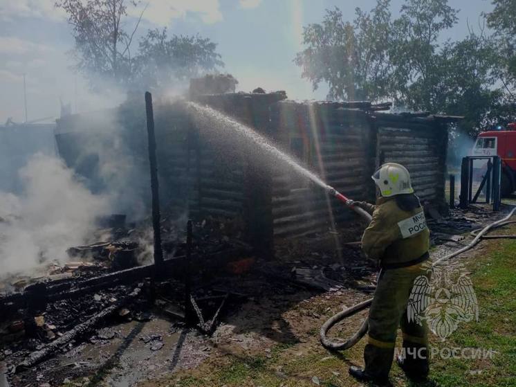 В Алтайском крае сохраняется высокая пожароопасность