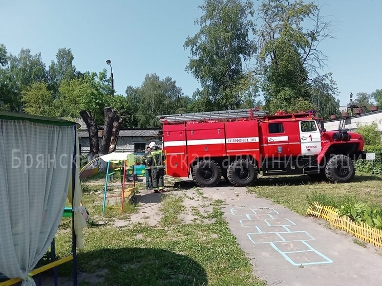 Осы атаковали детский сад "Кораблик" в Брянске