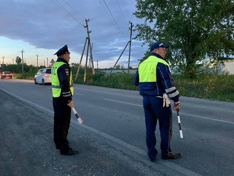 Сплошные проверки транспорта пройдут в выходные в Екатеринбурге