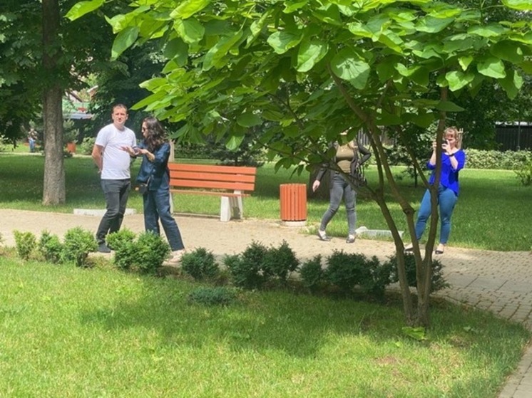 В столице Кубани озеленят территории 22 избирательного округа
