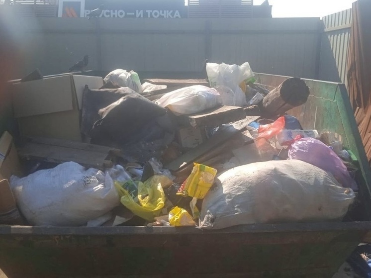 Стало известно, почему не увозили мусор с одной из контейнерных площадок Тверской области