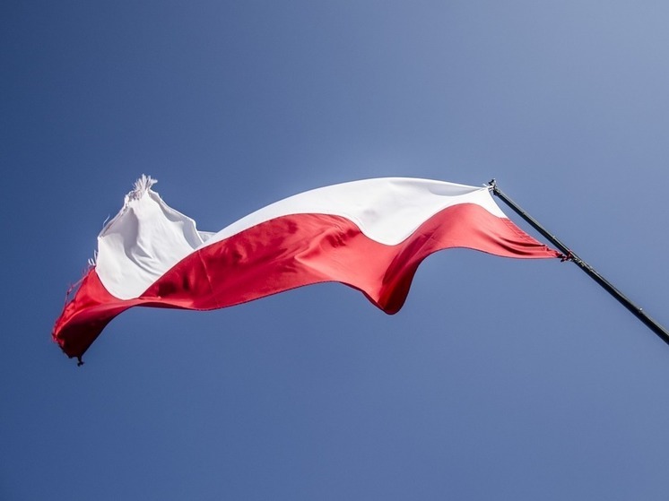 Муларчик заявил, что Польша собирается потребовать репарации с России до начала декабря