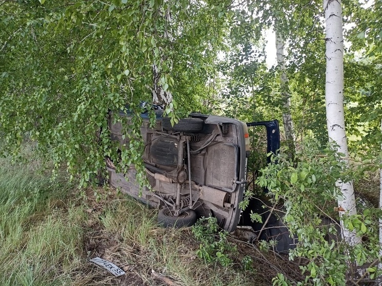 Двое мужчин погибли в Омской области, врезавшись на автомобиле ИЖ в дерево