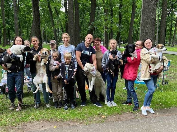 В Пензе работают точки по помощи бездомным животным «Точки добра»