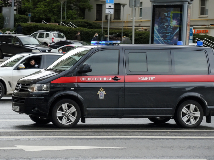 Обезглавленное тело младенца нашли в Воронежской области