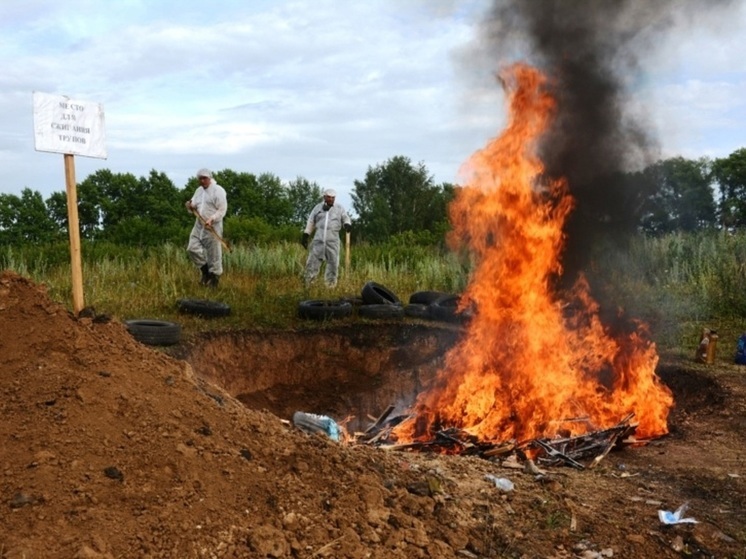 Птицефабрика в Ярославской области намерена восстановиться после эпидемии куриного гриппа