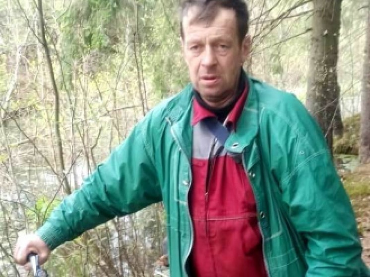 Пропавшего Александра Веденеева разыскивают в Псковском районе