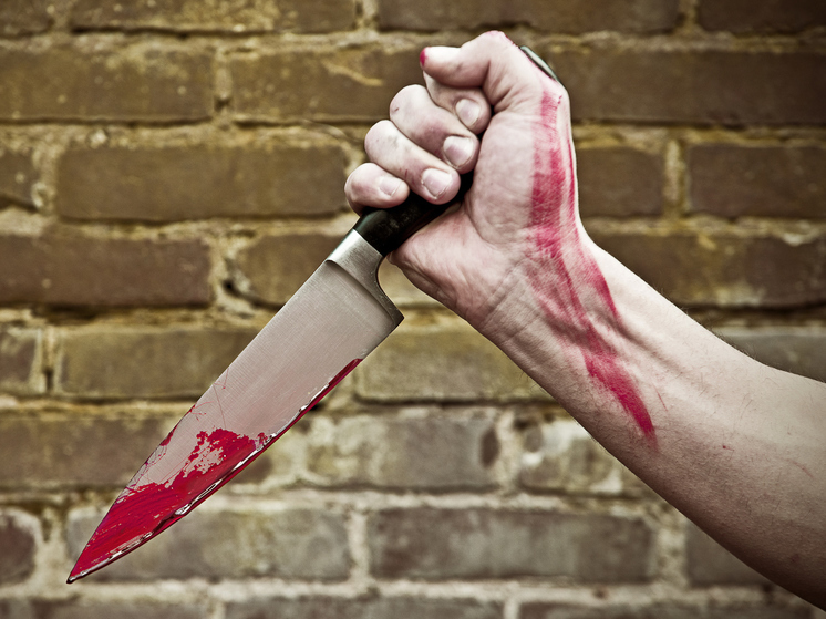 Ромео из НАО из-за ревности ударил возлюбленную ножом в печень