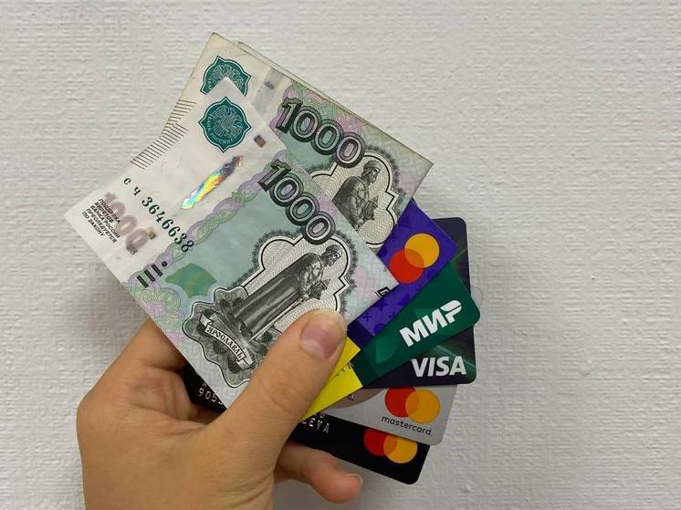 На ПМЭФ анонсировали отказ от Visa и Mastercard в России в течение трех лет
