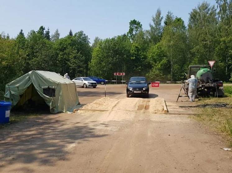 В Крестецком районе прошли учения по ликвидации очага птичьего гриппа