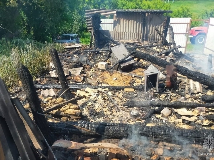 В Курской области дети за сутки сожгли два сарая и две времянки