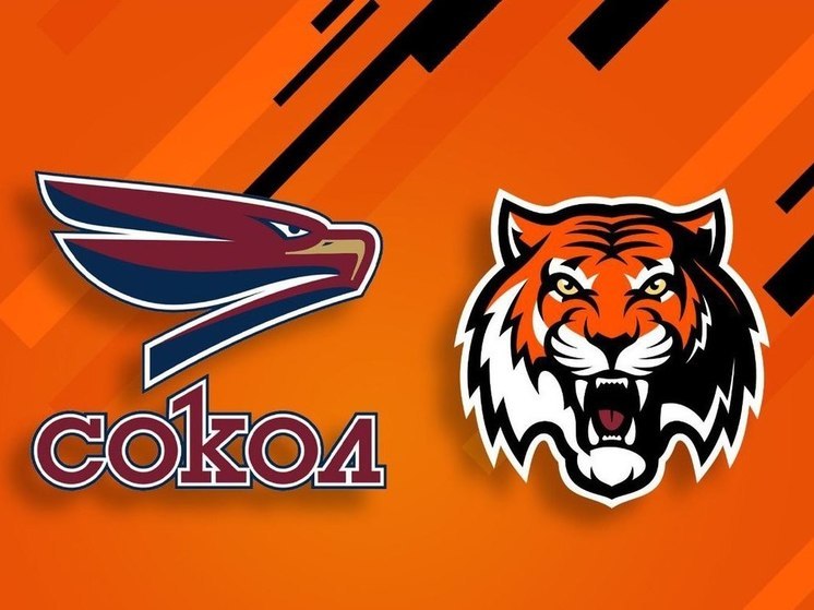 Игроки хабаровского «Амура» продолжат играть в «Соколе»