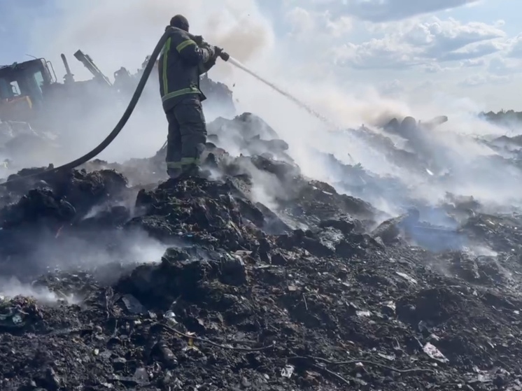 Пожар на свалке в Пупышево локализовали