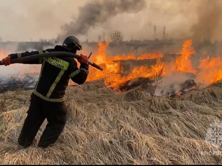 Ликвидрован пожар в районе Орликовой в Мурманске