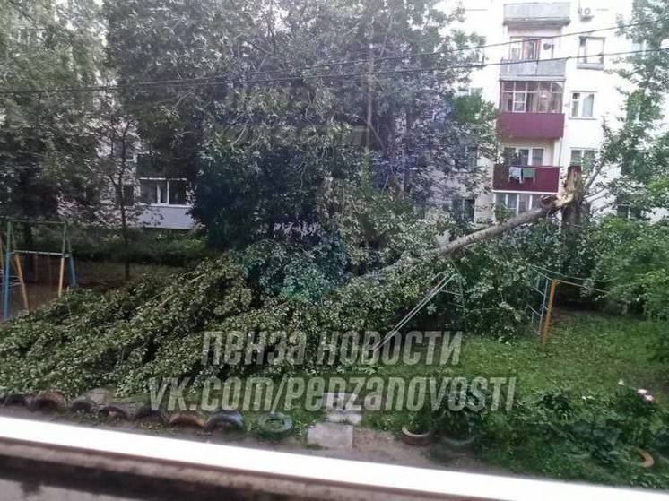 В Пензе дерево упало на детскую площадку, где играли дети