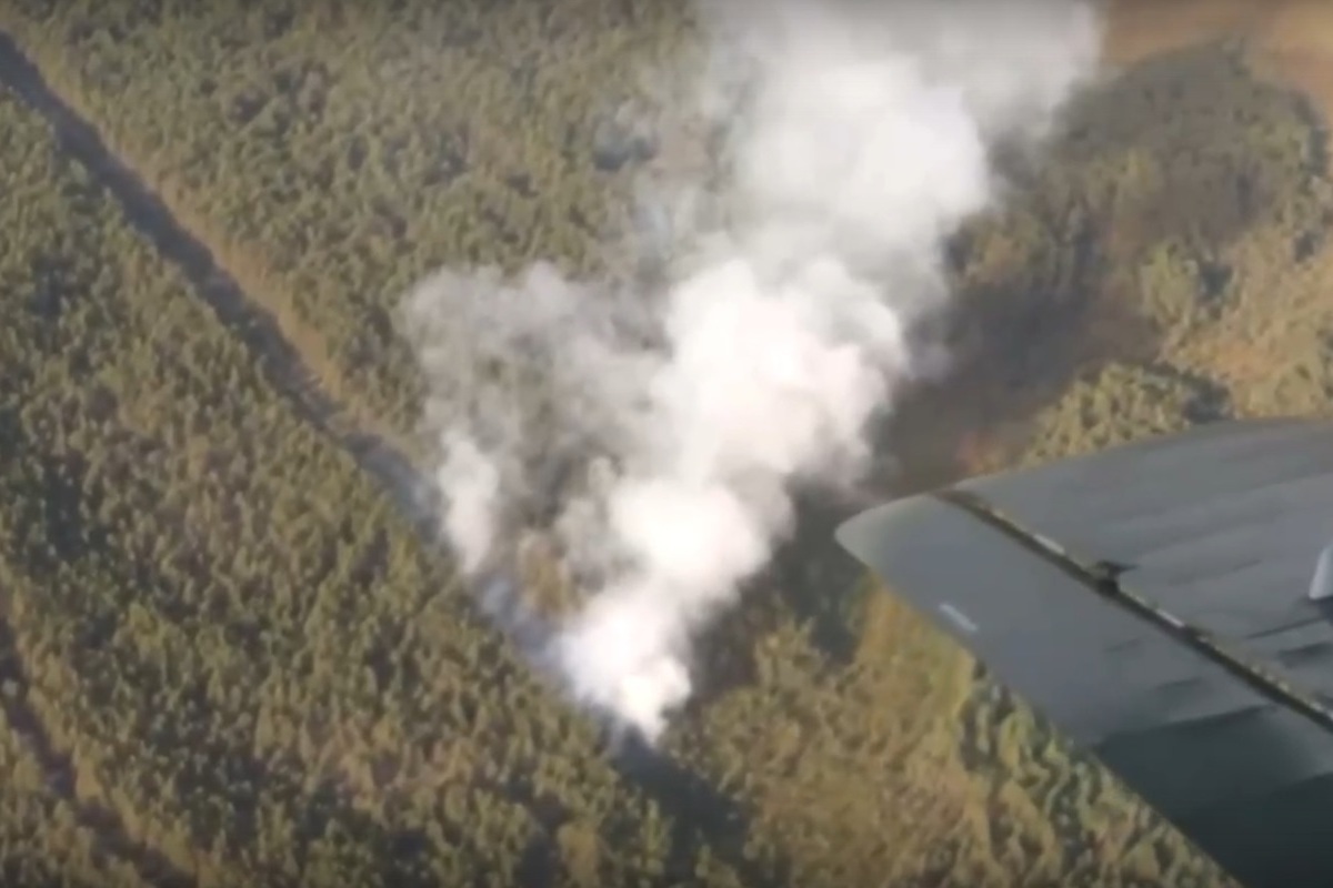Костромские авиаторы начинают воздушное патрулирование лесов