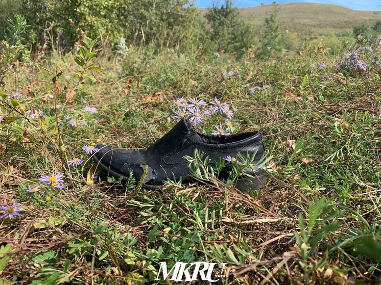 Госинспекция Забайкалья объяснила, кто и когда должен косить траву во дворах