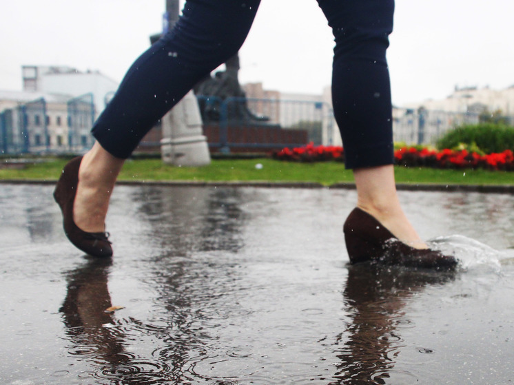 Короткие грозовые дожди пообещали синоптики подмосковным жителям