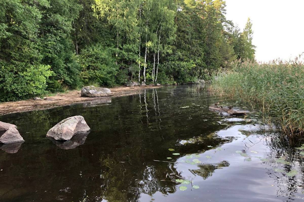 Девочка на местном водоеме