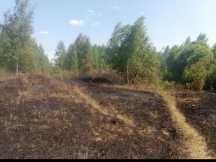 В Руднянском районе обнаружили тление торфа