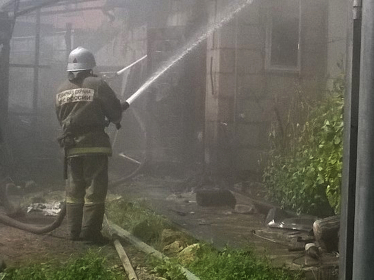 Воронежские дачники лишились дома, который сгорел дотла при пожаре