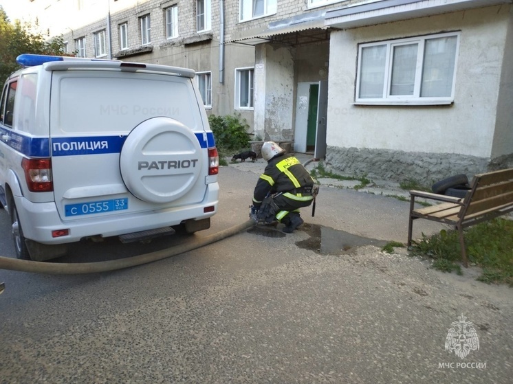 В Муроме на пожаре в пятиэтажке эвакуировали людей