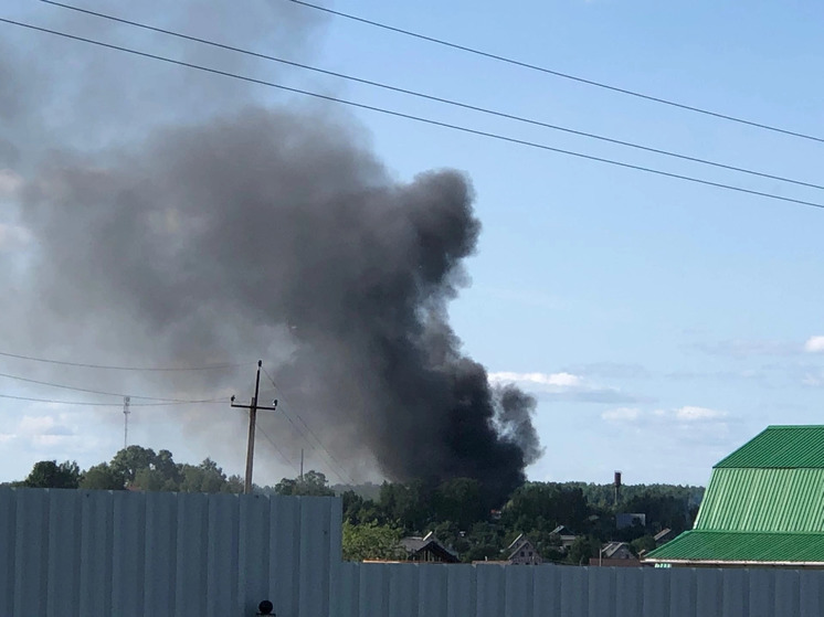 В деревне Ильинская Вологодского округа произошел пожар на ферме