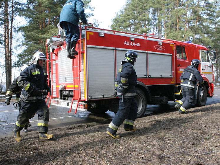 Прогноз от МЧС Мурманской области на 19 июня