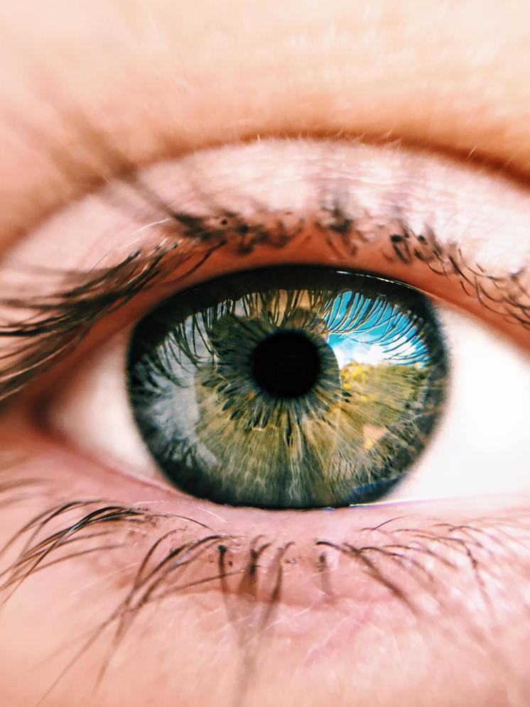 Взгляд из Германии —  Как определить риск ряда заболеваний по цвету глаз