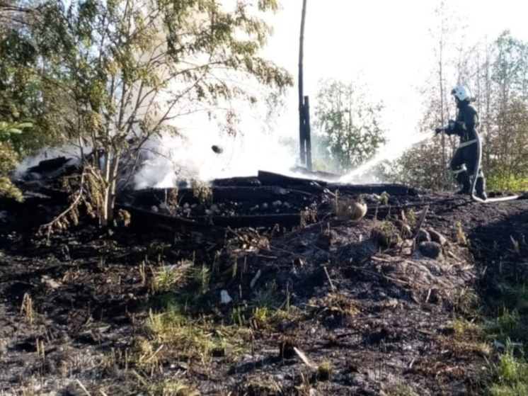 Хозяйственный домик сгорел дотла в деревне Карелии