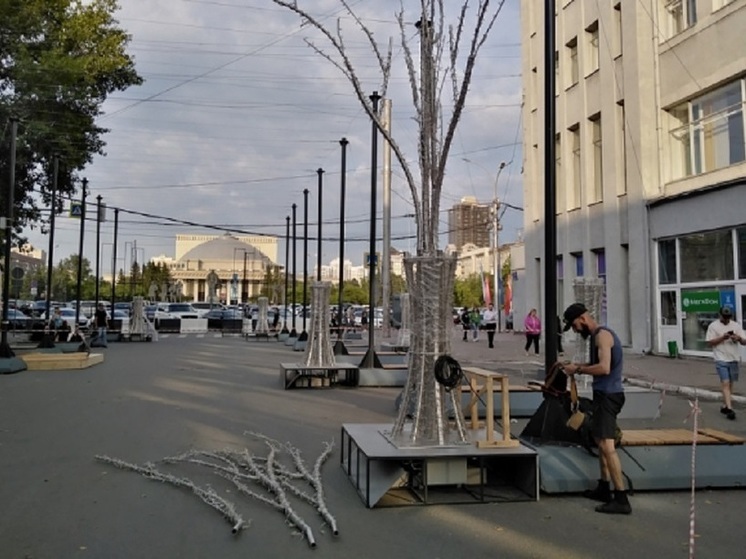 В Новосибирске на улице Ленина установили светящиеся деревья ко Дню города