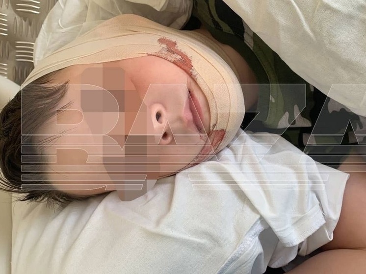 Новосибирский полицейский на электросамокате сбил 8-летнего мальчика в Петербурге