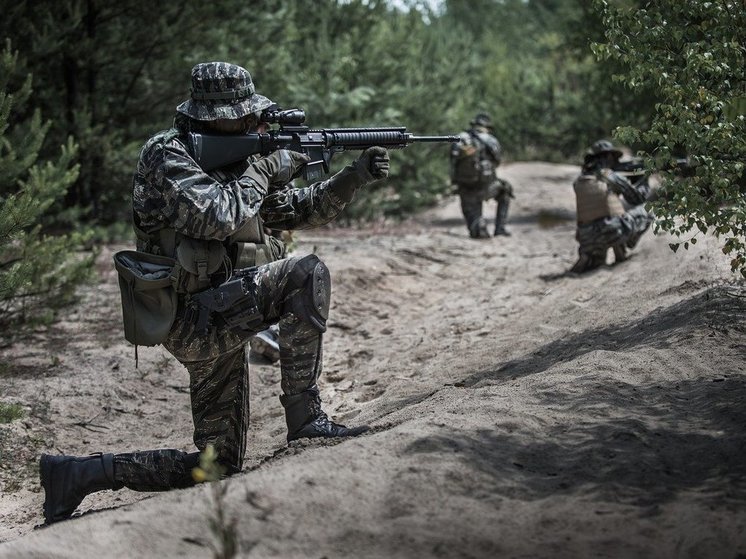 Минобороны: у Новодонецкого российские военные уничтожили 103 украинских морпехов