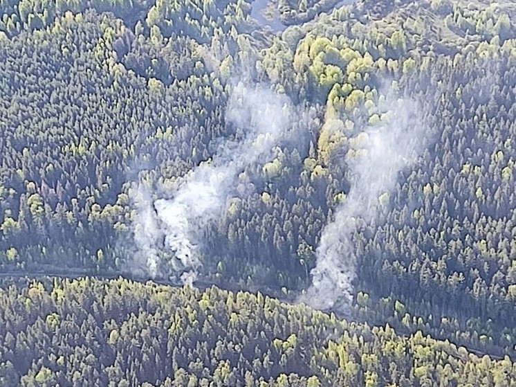 За два дня пожарные Новгородской области потушили пять пожаров