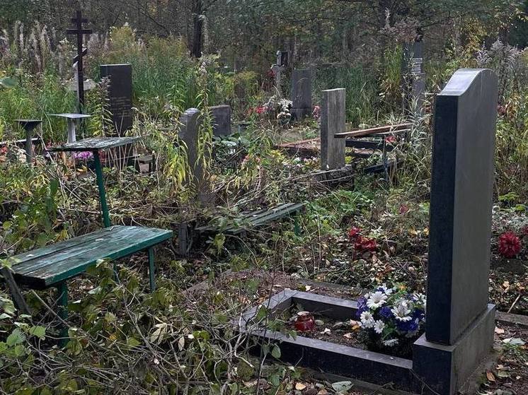 Вандалы разбили более 10 могил на кладбище в Тосненском районе