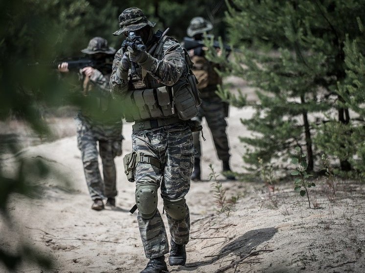 Киев на новодонецком участке бросил в наступление иностранных наемников