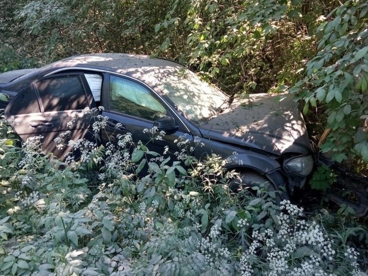 Молодой водитель иномарки протаранил дерево, съехав с дороги в Карелии