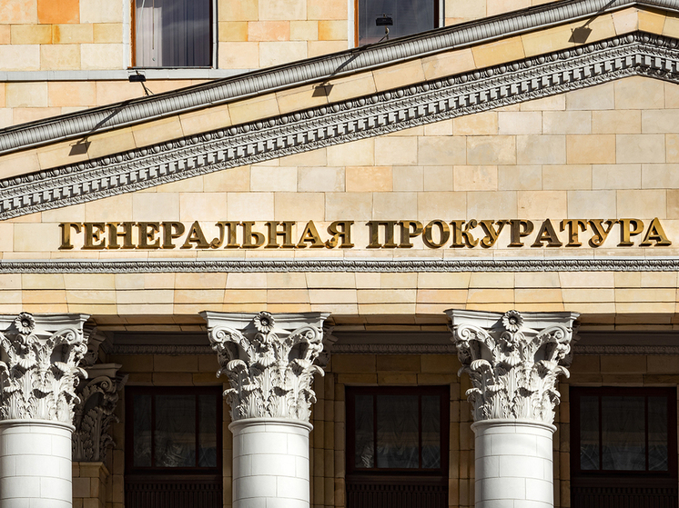 Генпрокуратура признала нежелательной в РФ правозащитную группу "Агора"