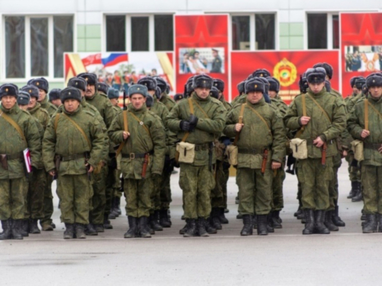 Какие льготы положены участникам СВО в Омске